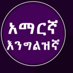 english to amharic dictionary android application logo